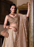Golden Color Plain Silk Lehenga With Zari Embroidered Work Blouse