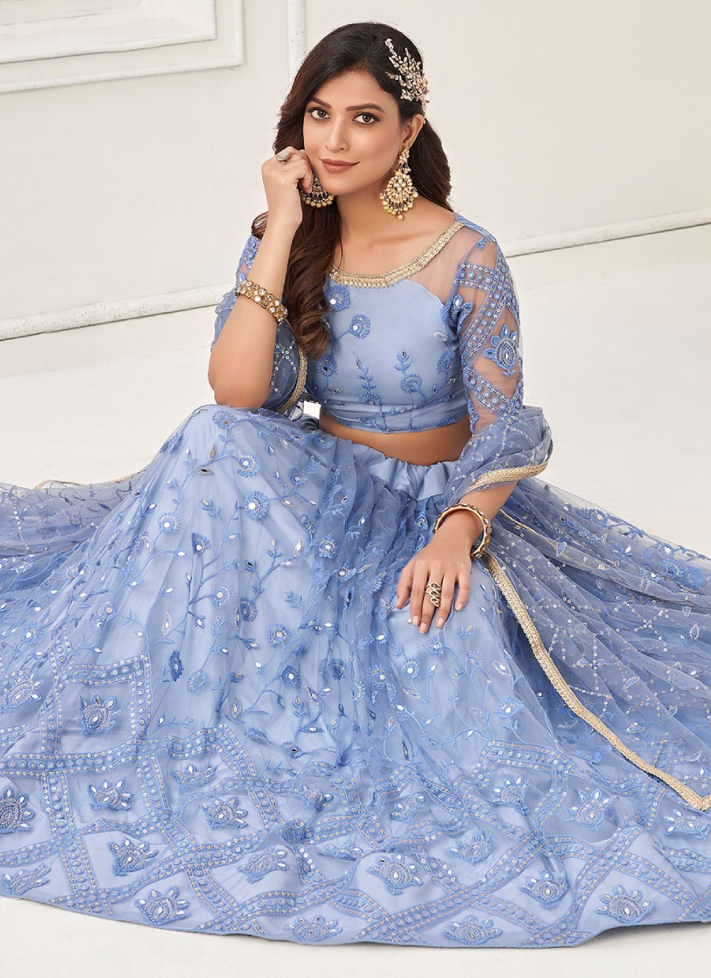 Aesthetically Light Blue Soft Net Thread Work Lehenga Choli