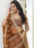 Amazing Sequence Work Net Brown Sangeet Function Lehenga Choli