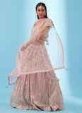 Astonishing Sequence Embroidered Georgette Light Pink Lehenga Choli