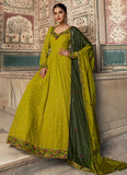 Delightful Lime Green Georgette Embroidered Work Gown