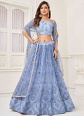 Aesthetically Light Blue Soft Net Thread Work Lehenga Choli