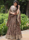 Designer Brown Zari Embroidered Work Georgette Lehenga Choli