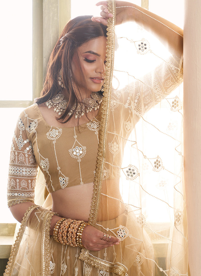 Fascinating Beige Net Thread Embroidered Lehenga Choli With Dupatta