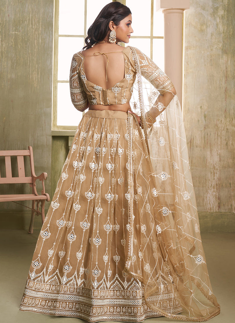 Fascinating Beige Net Thread Embroidered Lehenga Choli With Dupatta