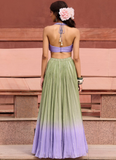 Olive Green And Lavender Georgette Sequence Embroidered Lehenga Choli