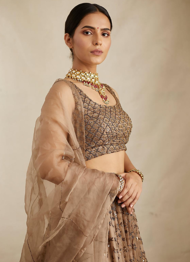 Pretty Soft Net Sequence Zari Embroidery Work Brown Lehenga