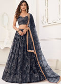 Sequence Embroidered Work Butterfly Net Black Lehenga Choli