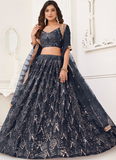 Sequence Embroidered Work Butterfly Net Black Lehenga Choli