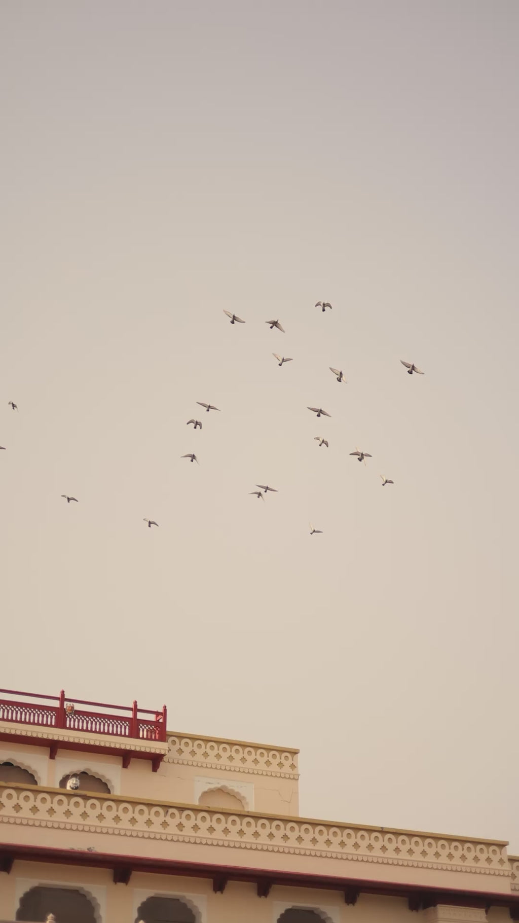 Marvellous Zari Embroidered Gold Crush Green Lehenga Choli For Women