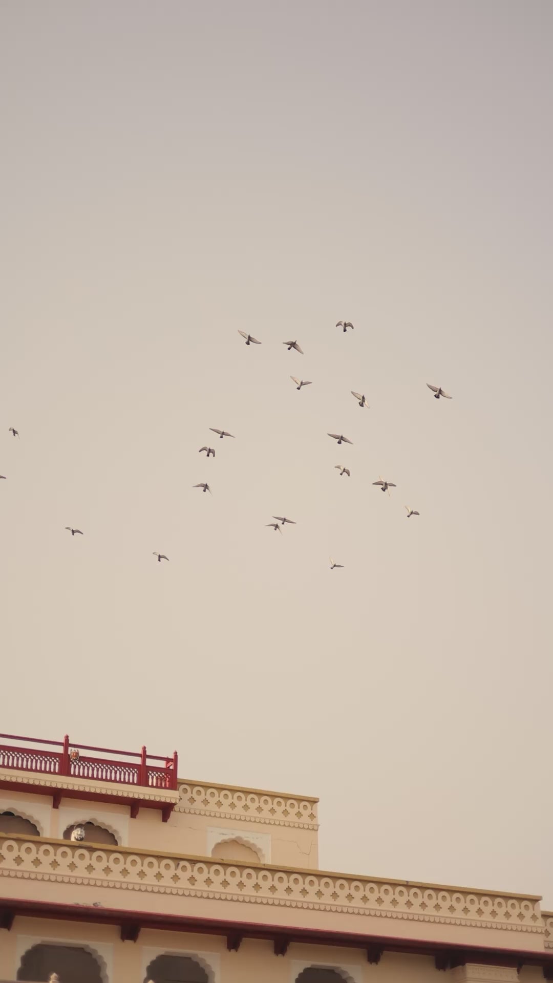 Classic Sky Blue Gold Crush Sequence Embroidered Wedding Lehenga Choli